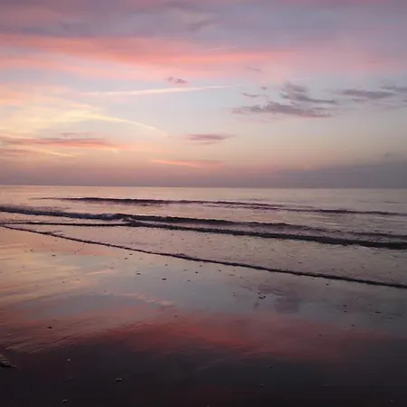 Haus Seeigel Strandflieder ノルダーナイ