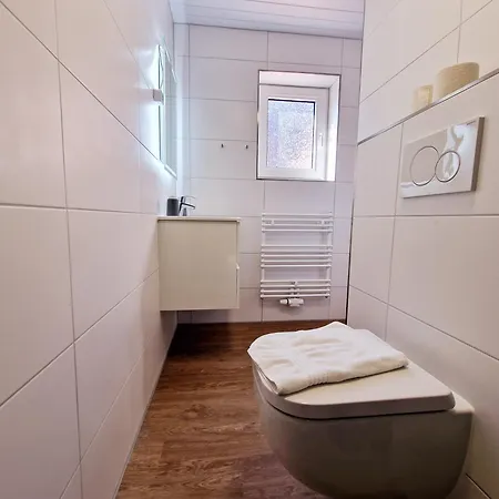 Haus Seeigel Strandflieder *